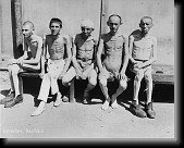 Veznove osvobozeni v Dachau * 463 x 370 * (38KB)